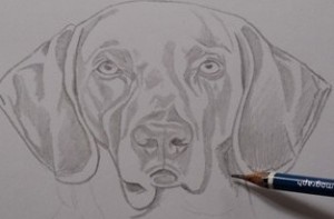 Desenho de cães aulas grátis